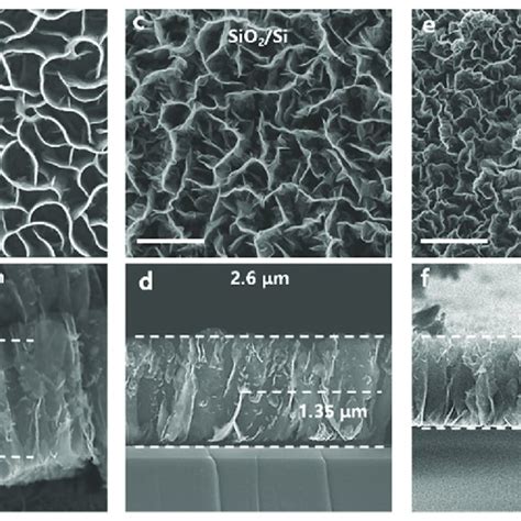 (a) Photograph of silicon wafer OM after annealing (b) Photograph of ...