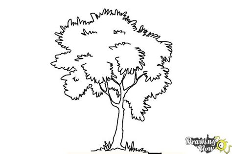 Simple Tree Drawing For Kids