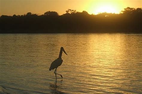 Pï½R DO SOL NO RIO ARAGUAIA EM BANDEIRANTES GO FOTO BLOGBANDEIRANTES