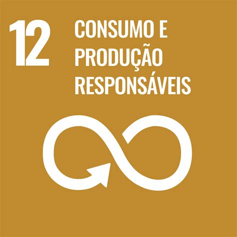 Quais São As Metas Do Ods 7 7