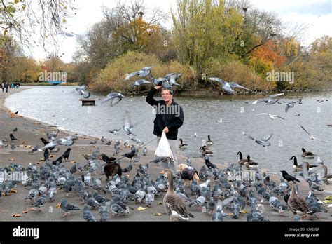 London Uk 12 November 2017 Cold And Autumn Remembrance Day Eric The