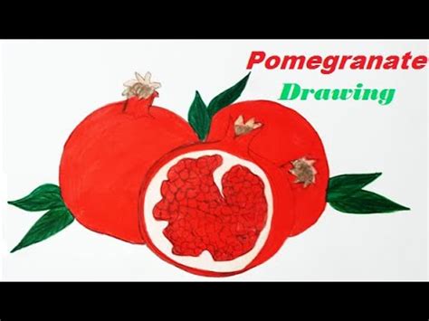 How To Draw Pomegranate Step By Step Pomegranate Drawing Wali