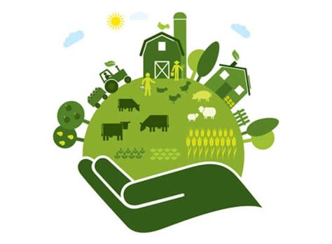 6 things agroecology can do for farming and the environment - Genetic ...