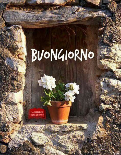 Pin By Cinzia Mangano On Buon Giorno Windows And Doors Geraniums