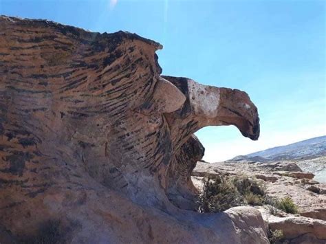 Pin By J Baldresca On Gigantes Petrificados Star Fort Ancient Geology