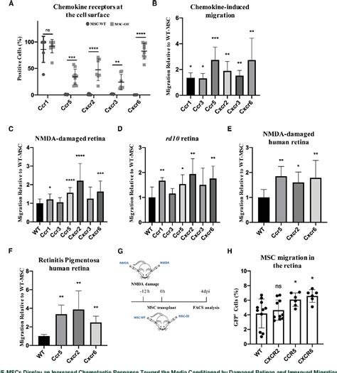 Figure 2 From The Chemokine Receptors Ccr5 And Cxcr6 Enhance Migration