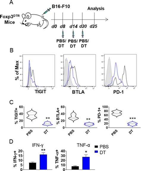 Tumor Associated Tregs Obstruct Antitumor Immunity By Promoting T Cell