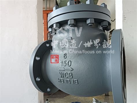 Swing Check Valve Flanged API600 JIS10K DIN Pn16 Wcb A105 Stainless