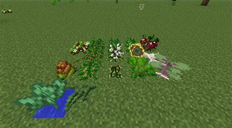 Getting Started (Magic Farm 2) - Official Feed The Beast Wiki