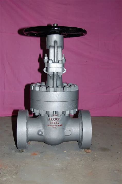 FLOEC Butt Weld Gate Valve At Rs 5724 SS Gate Valves In Ahmedabad