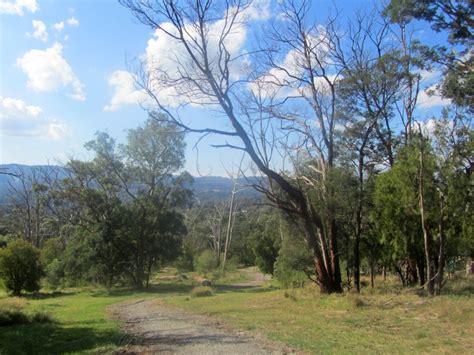 Tracks Trails And Coasts Near Melbourne Mt Morton Reserve Belgrave