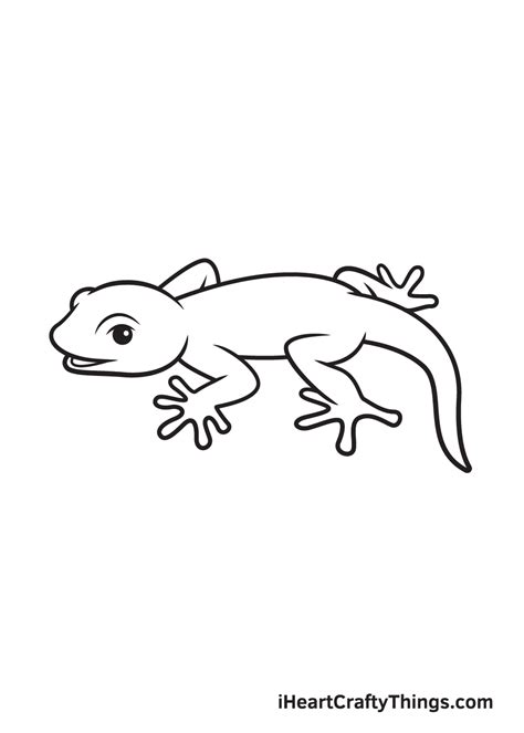 lizard drawing   draw  lizard step  step