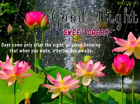 wishes  poetry cute good night quotes  frish flowers  friends