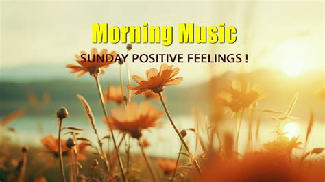 Sunday Morning Relaxing Music 🍀 Positive Feelings And Energy Morning