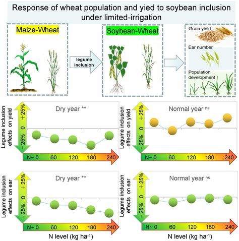 Frontiers Soybean Crops Penalize Subsequent Wheat Yield During Drought In The North China Plain