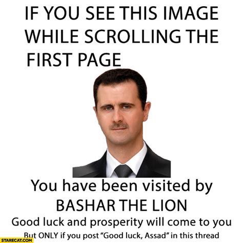 If You See This You Have Been Visited By Bashar The Lion Good Luck Will