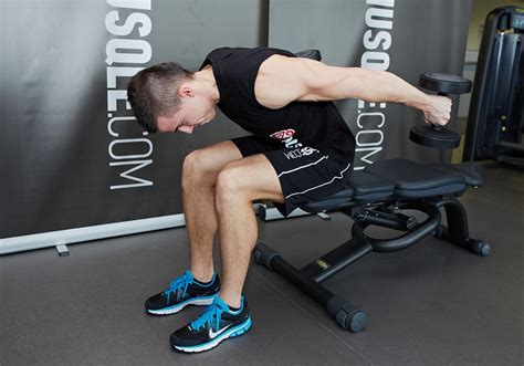 Seated Bent Over Two Arm Dumbbell Triceps Extension Musqle