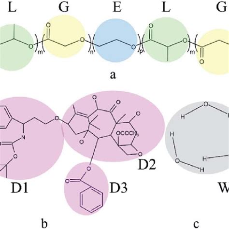 Coarse Graining Of The Simulated System A Plga B Peg B Plga B