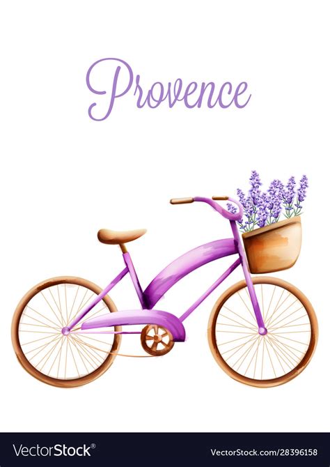 Purple Bicycle With Lavender In Front Basket Vector Image