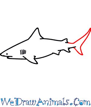 Bull Shark Sketch at PaintingValley.com | Explore collection of Bull ...