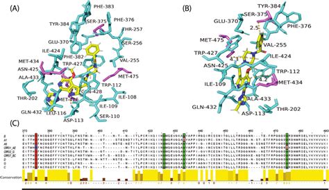 The Variability Of HIV 1 Gp120 Amino Acid Residues At The Binding Site