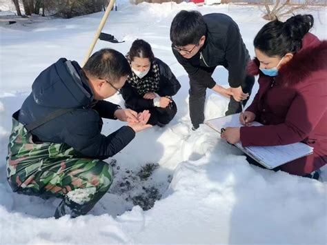 塔城市科协组织专业技术人员深入田间开展越冬期小麦服务工作 新疆维吾尔自治区科学技术协会