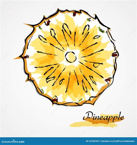 Tranche De Fruit D Ananas Illustration De Vecteur Illustration Du