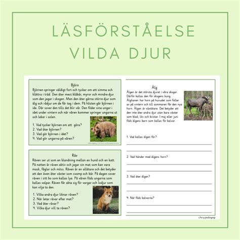 Läsförståelse vilda djur Teach Academy