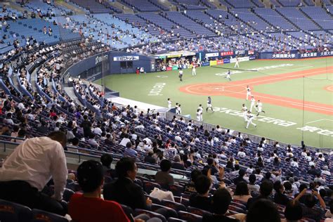 待ちに待った有観客試合がスタート プロ野球 Moment日刊ゲンダイ