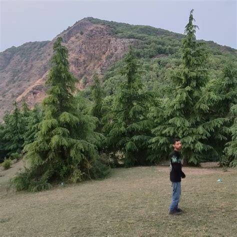karol ka tibba         reviews
