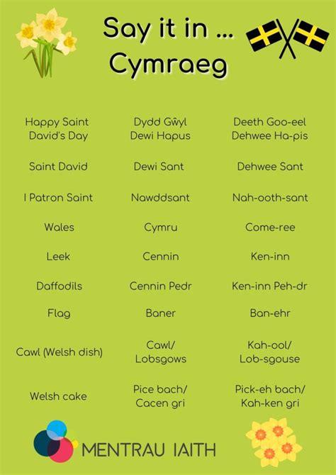 Saint Davids Day Y Mentrau Iaith