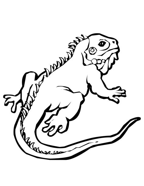 Dibujo De Lagarto Para Colorear Vector Premium Porn Sex Picture