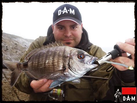 Spinning En El Mar SARGOS A ROCK FISHING