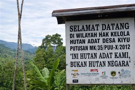 hutan adat bukan hutan negara dayak today