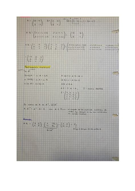 SOLUTION Matrices Y Determinantes Matrices And Determinants Studypool