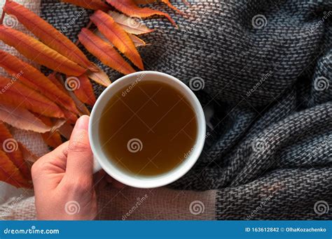 Woman Hand Holding White Cup With Herbal Hot Tea With Copy Space