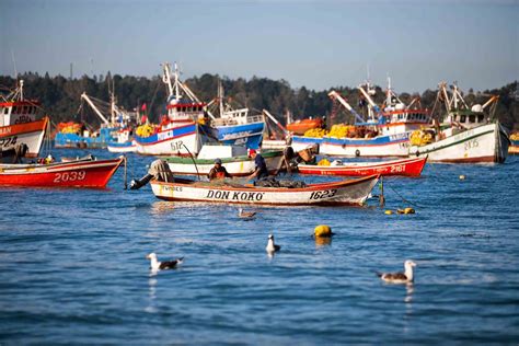 Ley De Pesca Sector Artesanal Se Opone A Propuesta De Retiro Del Proyecto