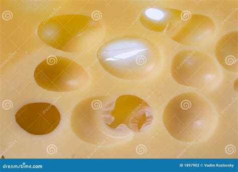 Cheese Holes Stock Photography - Image: 1897902