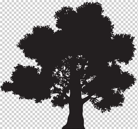 Ilustraci N De Rbol Negro Silueta De Roble Rbol Silueta De Rbol