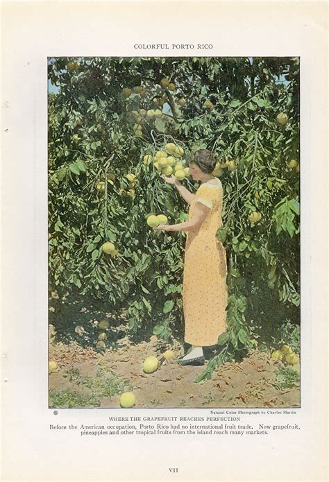 Puerto Rico ~ December 1924 "National Geographic" magazine, Página 635