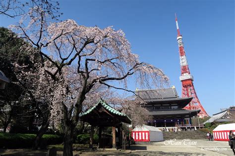 【東京賞櫻】盤點13個東京賞櫻必去景點推薦 涵天食尚玩樂生活誌