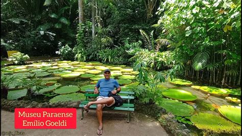 Museu Paraense Emílio Goeldi O que fazer em Belém do Pará 1 Parque