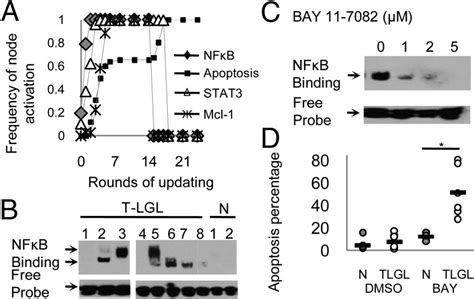 NFB Is Constitutively Active In T LGL Leukemia And Mediates Survival Of