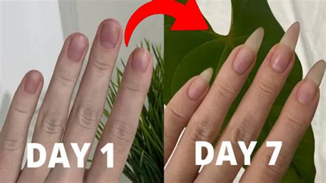 How To Grow Nail Fast At Home Top Tips For Nail Growth Nail Kaise