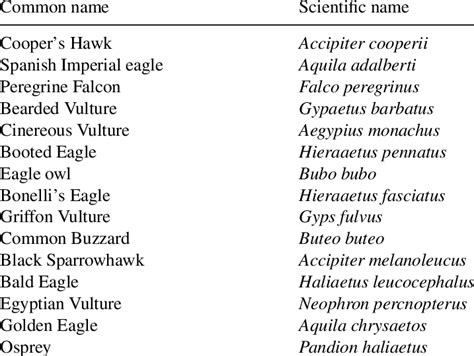 Common and scientific names of the raptor species cited in the text ...