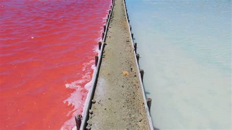 Las Salinas De Cabo Rojo Puerto Rico Youtube