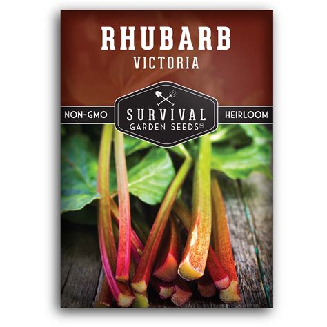 Victoria Rhubarb Seeds for Planting - SurvivalGardenSeeds