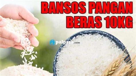 Bansos Sembako Beras 10 Kilogram Per Bulan Diperpanjang Hingga Juni