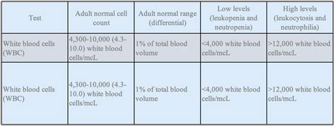 Understanding Neutrophils: Function, Counts, and More | Berkeley Institute International