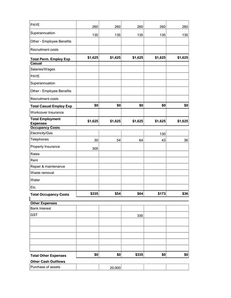 Solution Cash Flow Forecasting Template Studypool